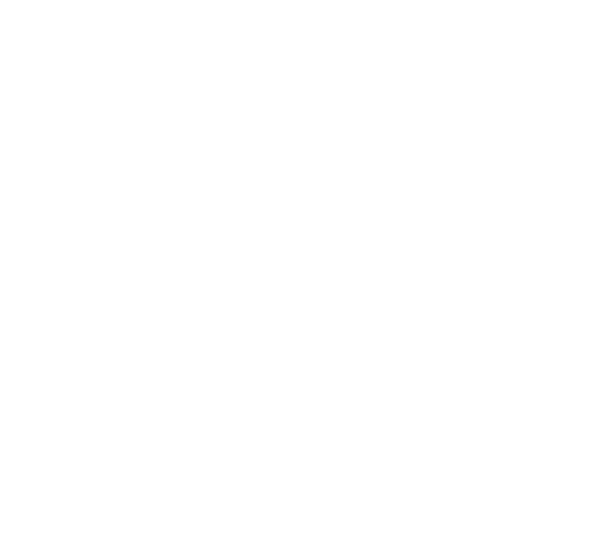 Camera Đóng Hàng — Giám sát đóng gói